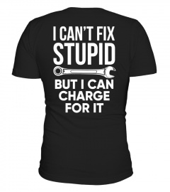 I Can't Fix  Stupid