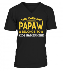 this awesome papaw belongs to t shirt