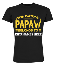 this awesome papaw belongs to t shirt