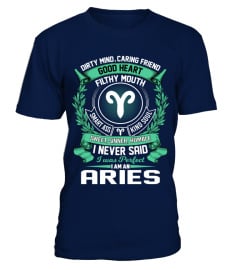 Aries T Shirt