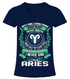Aries T Shirt