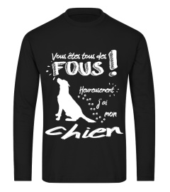 FOUS: CHIEN