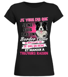 JE NE SUIS PAS US BORDER COLLIE