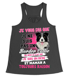 JE NE SUIS PAS US BORDER COLLIE