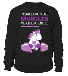 INSTALLATION DES MUSCLES