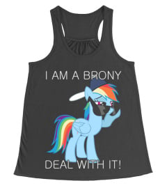 Rainbow Dash Brony