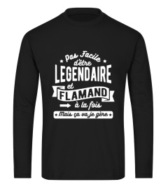 pas facile légendaire et flamand