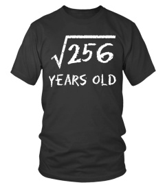 Square Root of 256: 16th Birthday 16 Year Old T-Shirt - Limited Edition