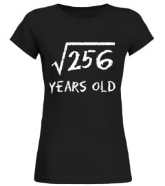 Square Root of 256: 16th Birthday 16 Year Old T-Shirt - Limited Edition