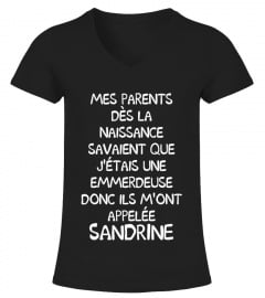 Sandrine Emmerdeuse