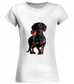 DACHSHUND BLACK WITH A ROSE