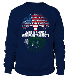 Living in America with Pakistani Roots