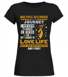 Multiple sclerosis is a journey