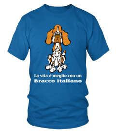  Bracco Italiano