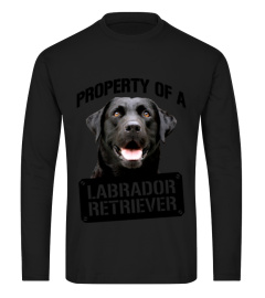 LABRADOR PROPERTY 654