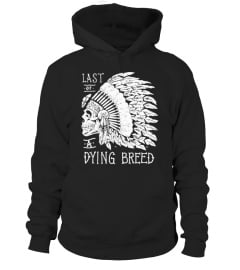 Proud native american T-Shirt