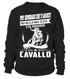 STO ANDANDO CAVALLO