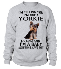 YORKIE BABY