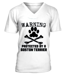 Kids Warning Protected By A Boston Terrier Funny T-shirt 10 Baby Blue