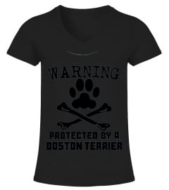 Kids Warning Protected By A Boston Terrier Funny T-shirt 10 Baby Blue