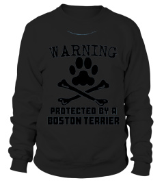 Kids Warning Protected By A Boston Terrier Funny T-shirt 10 Baby Blue