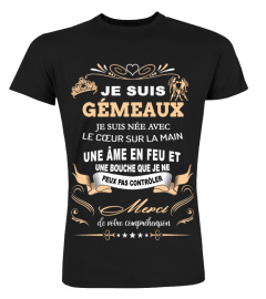 Gemeaux