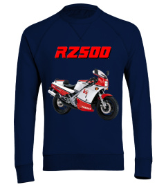 RZ500