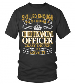 Chief Financial Officer - Skilled Enough