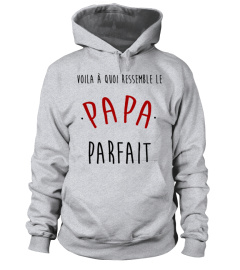 VOILA À QUOI RESSEMBLE LE PAPA PARFAIT