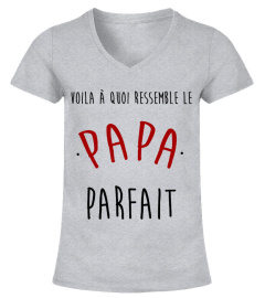 VOILA À QUOI RESSEMBLE LE PAPA PARFAIT