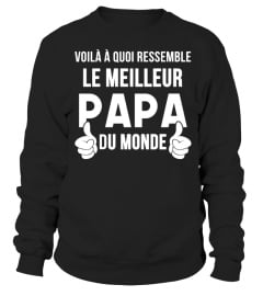 VOILÀ À QUOI RESEMBLE LE MEILLEUR PAPA DU MONDE