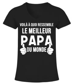 VOILÀ À QUOI RESEMBLE LE MEILLEUR PAPA DU MONDE