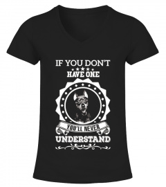 If You Don T Have One Miniature Pinscher T-shirt