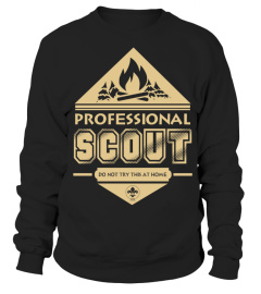 Professional Scout