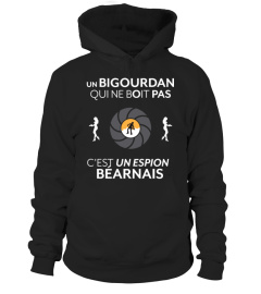 Bigourdan Espion