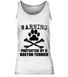 Kids Warning Protected By A Boston Terrier Funny T-shirt 10 Baby Blue