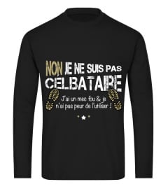 NON JE NE SUIS PAS CÉLIBATAIRE