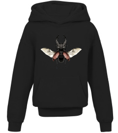 STAG BEETLE WITH OPEN WINGS FLYING TOP