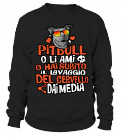 Felpa e Maglietta "Pitbull Solo Amore"
