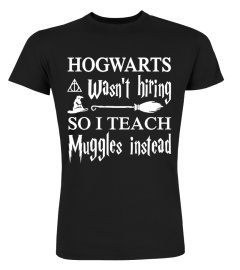 Hogwarts Wasn't Hiring So I Teach Muggles Instead T Shirt