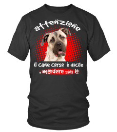 MIO CANE CORSO FULVO