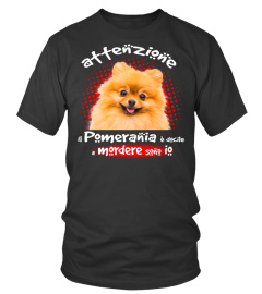 MIO POMERANIA