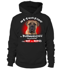 MON BULLMASTIFF