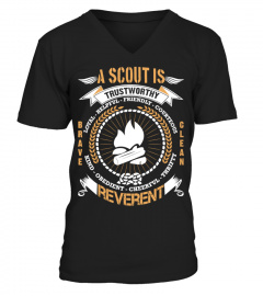 A Scout Is