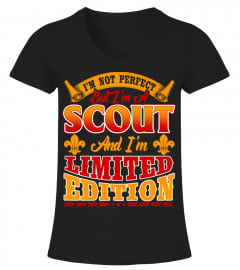 I'm Not Perfect - But I'm A Scout