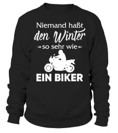 Den Winter