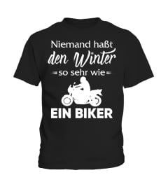 Den Winter