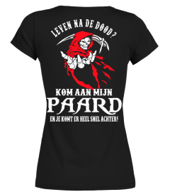 leven na de dood?
