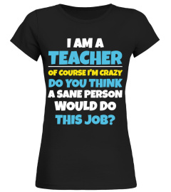 Funny Teacher T-Shirt & Hoodie