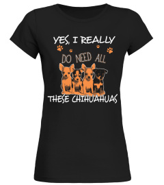 Do Need All These Chihuahuas